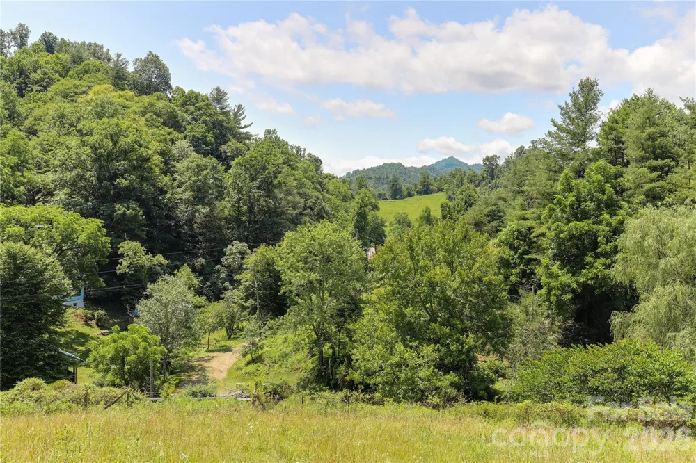 435 Mountain Cove Road Marshall, NC 28753