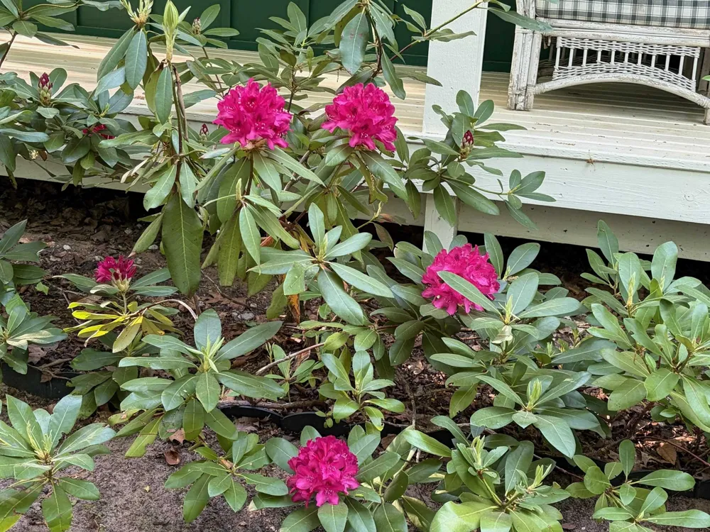 272 Lauri Wil Lane East Bay Township, MI 49696