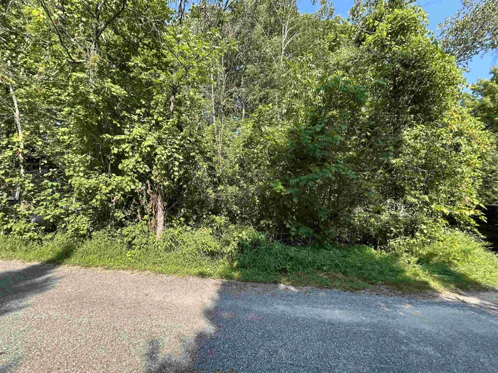 Wak Wing Drive Central Lake Township, MI 49622