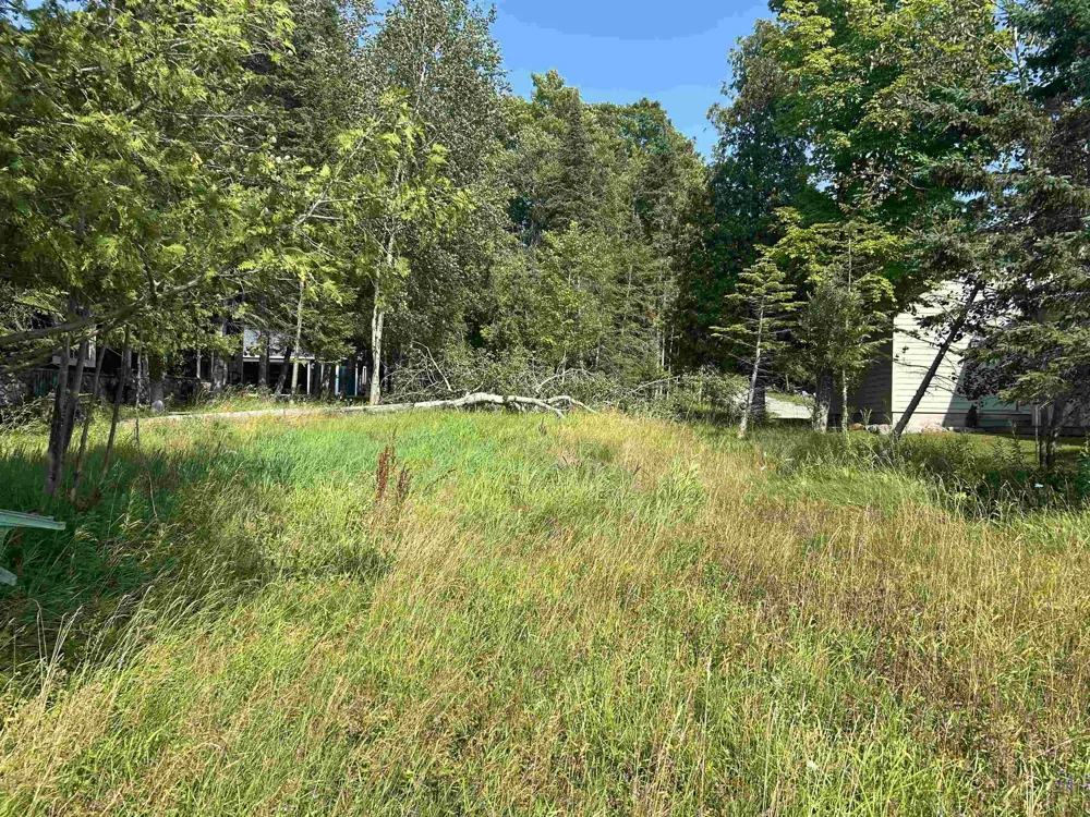 Wak Wing Drive Central Lake Township, MI 49622