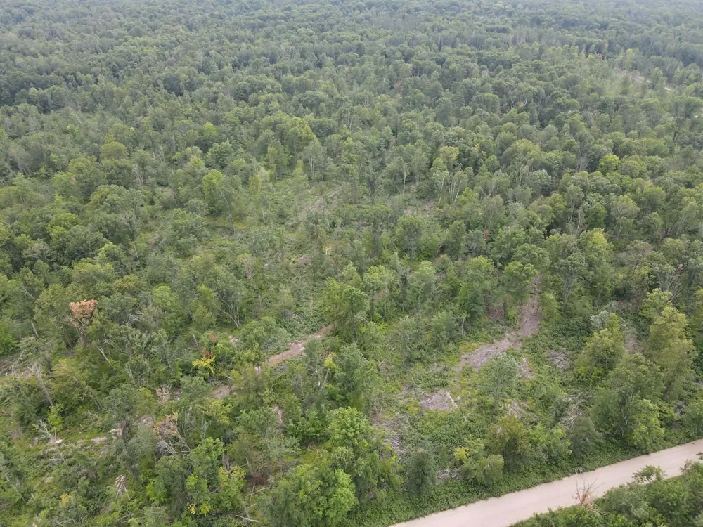 TBD 452nd Street Solway, MN 56678