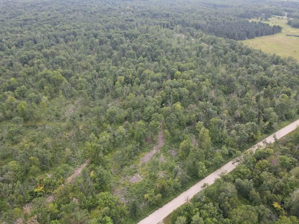 TBD 452nd Street Solway, MN 56678