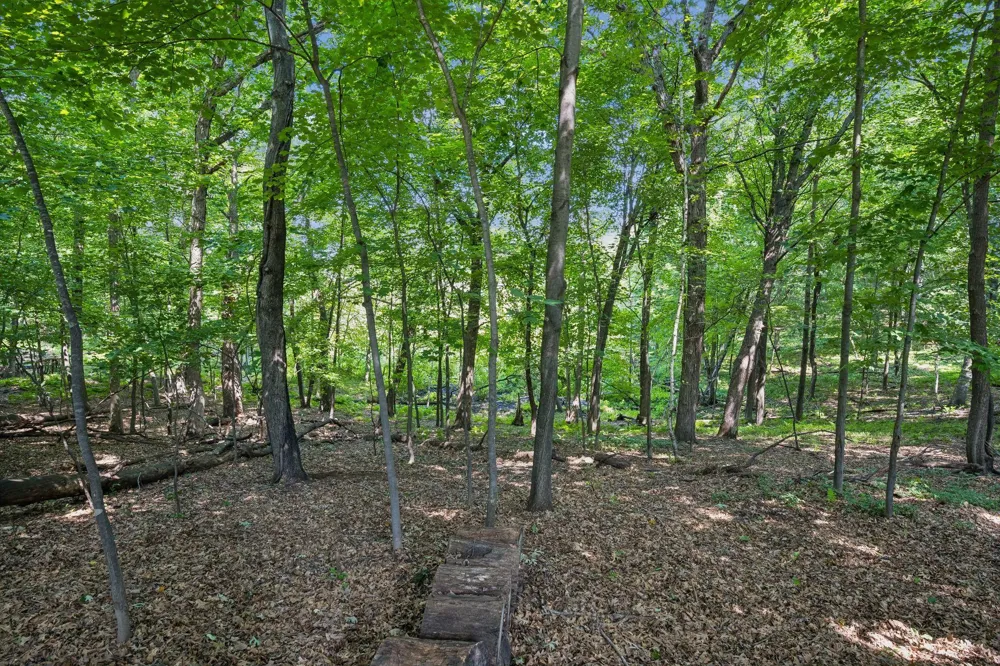 22372 Tipton Street NW Elk River, MN 55330