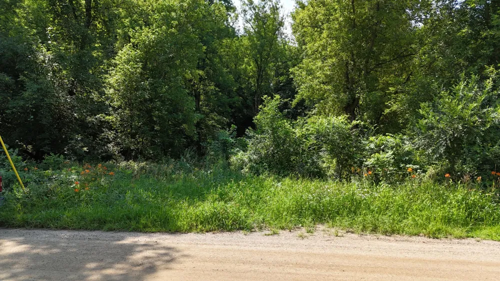 16XXX 107th Street NW South Haven, MN 55382