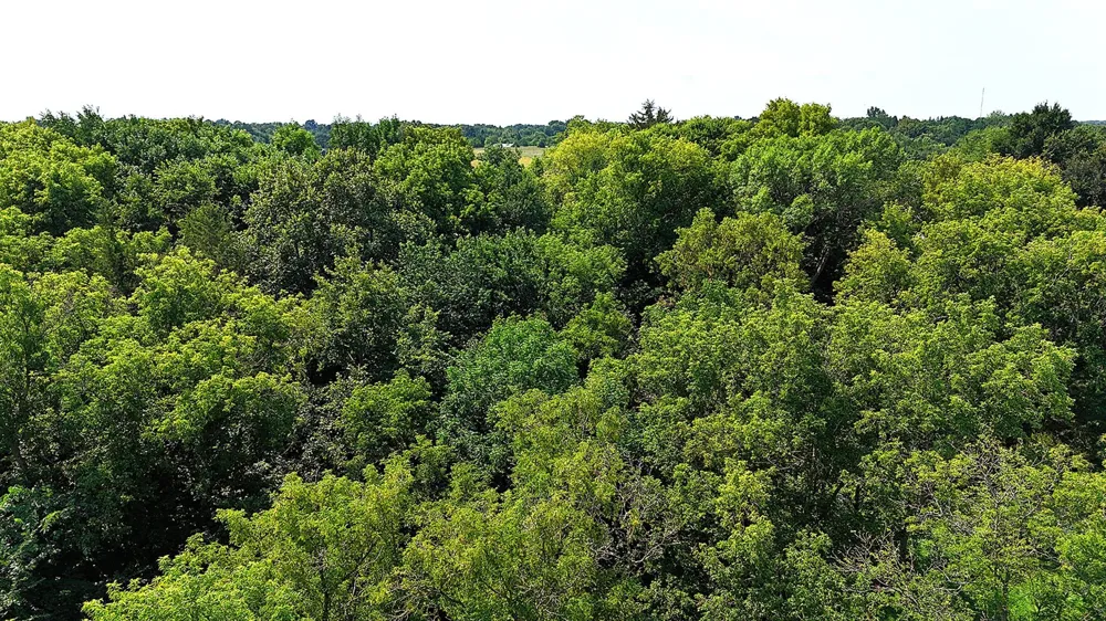 16XXX 107th Street NW South Haven, MN 55382