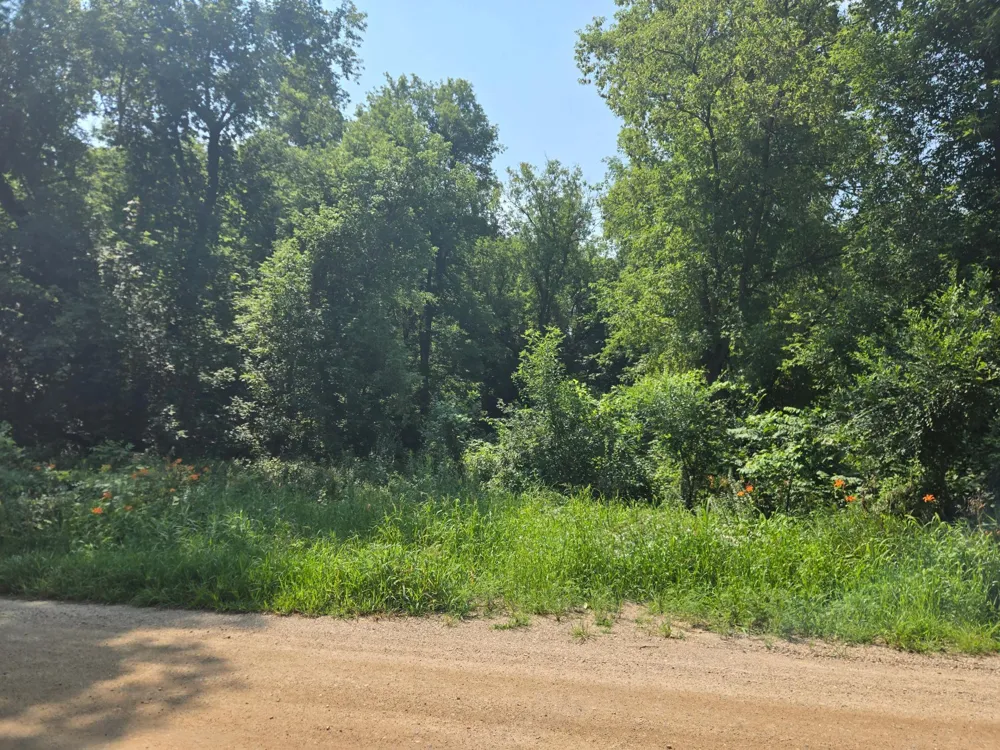 16XXX 107th Street NW South Haven, MN 55382