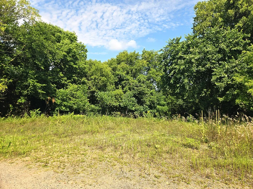 16XXX 107th Street NW South Haven, MN 55382