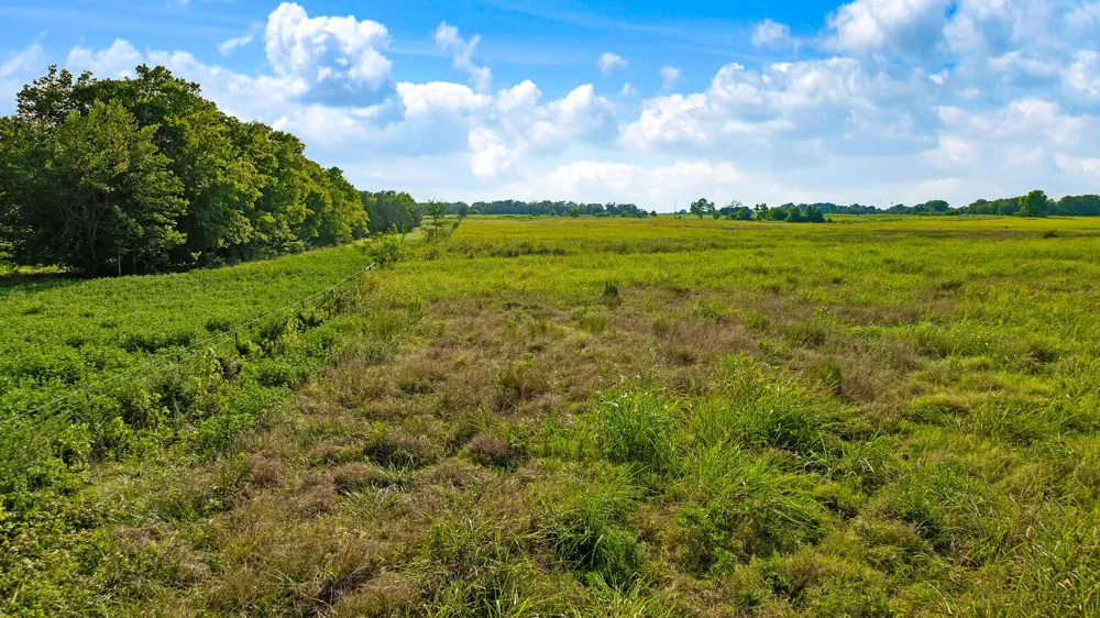 County Road 25200 Roxton, TX 75435
