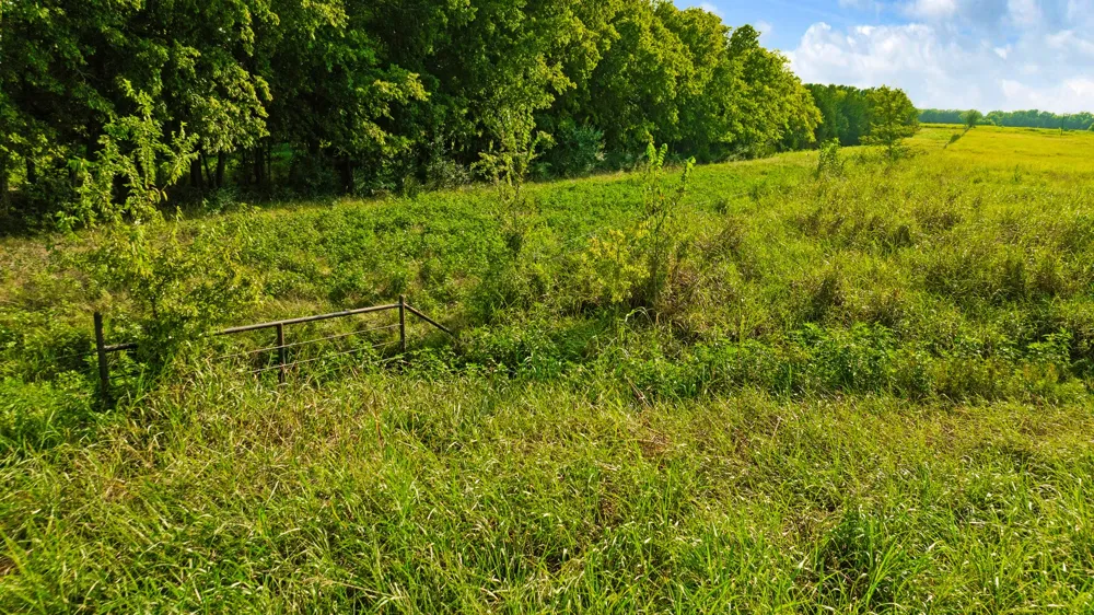 County Road 25200 Roxton, TX 75435