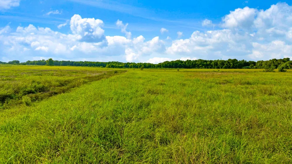 County Road 25200 Roxton, TX 75435