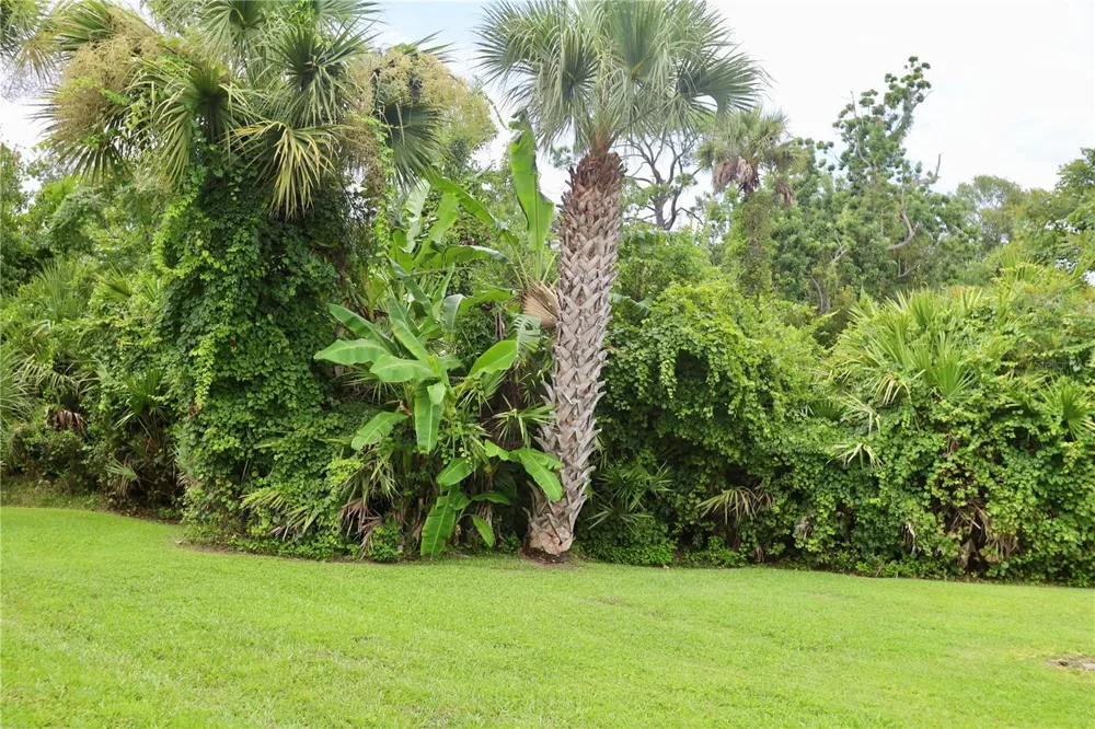 54 FOREST ROAD #54 Flagler Beach, FL 32136