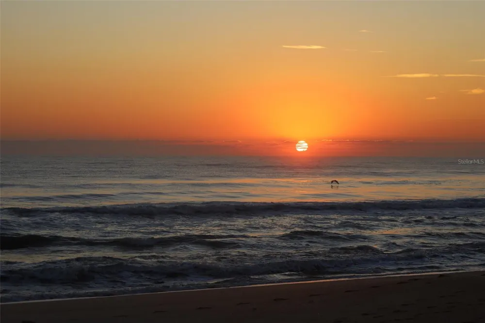 54 FOREST ROAD #54 Flagler Beach, FL 32136