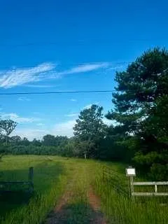 1368 Pleasant Grove Road Yatesville, GA 31097