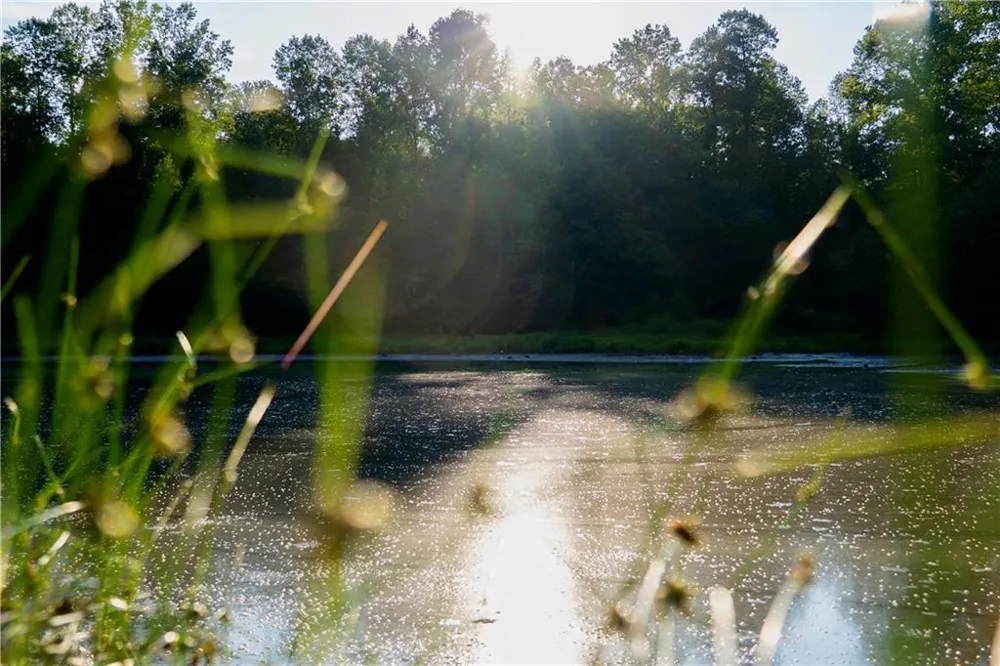 Lot A Porter Springs Road Dahlonega, GA 30533