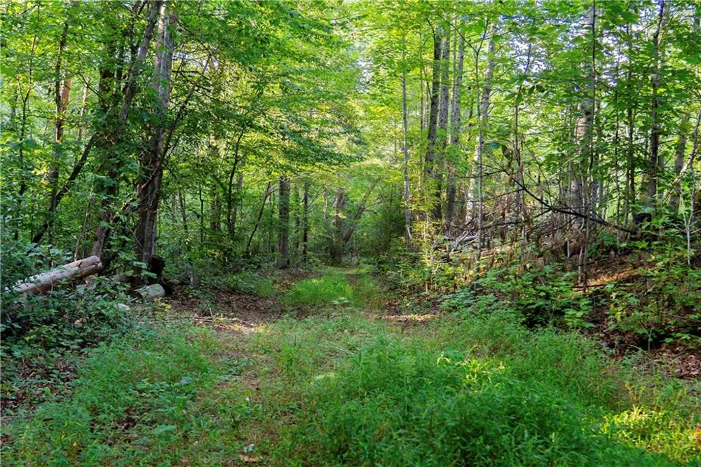 Lot A Porter Springs Road Dahlonega, GA 30533