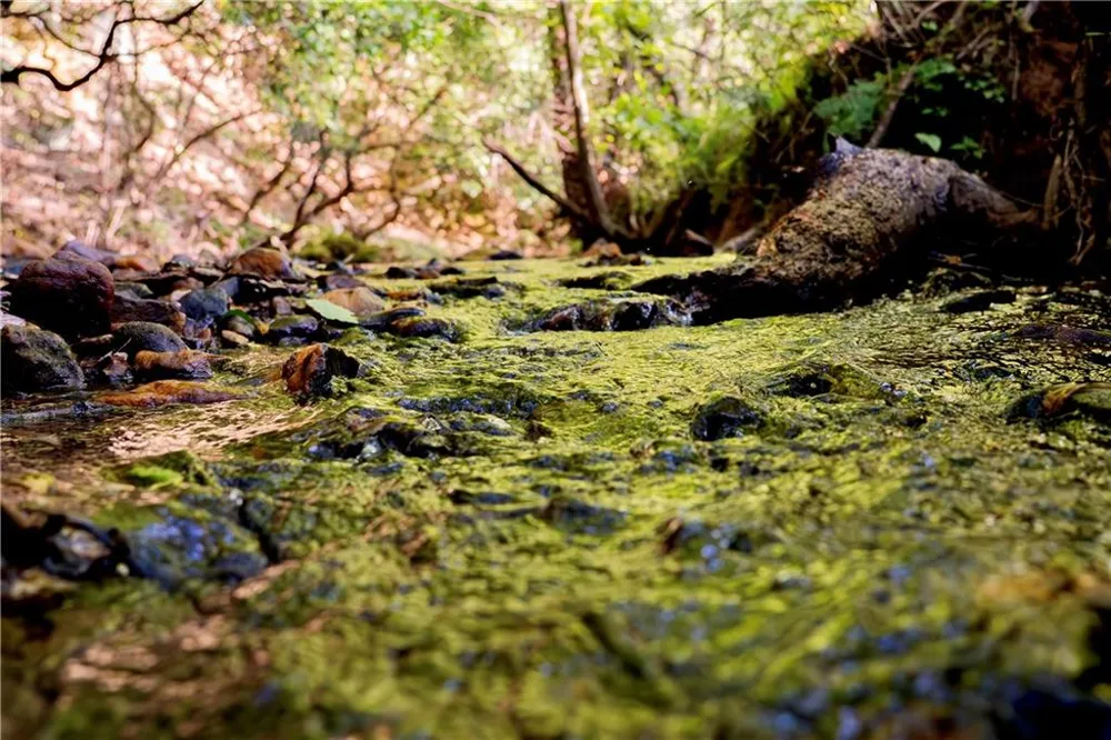 Lot A Porter Springs Road Dahlonega, GA 30533