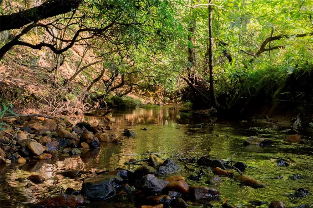 Lot A Porter Springs Road Dahlonega, GA 30533