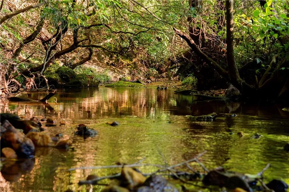 Lot A Porter Springs Road Dahlonega, GA 30533