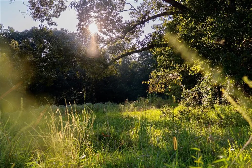 Lot A Porter Springs Road Dahlonega, GA 30533