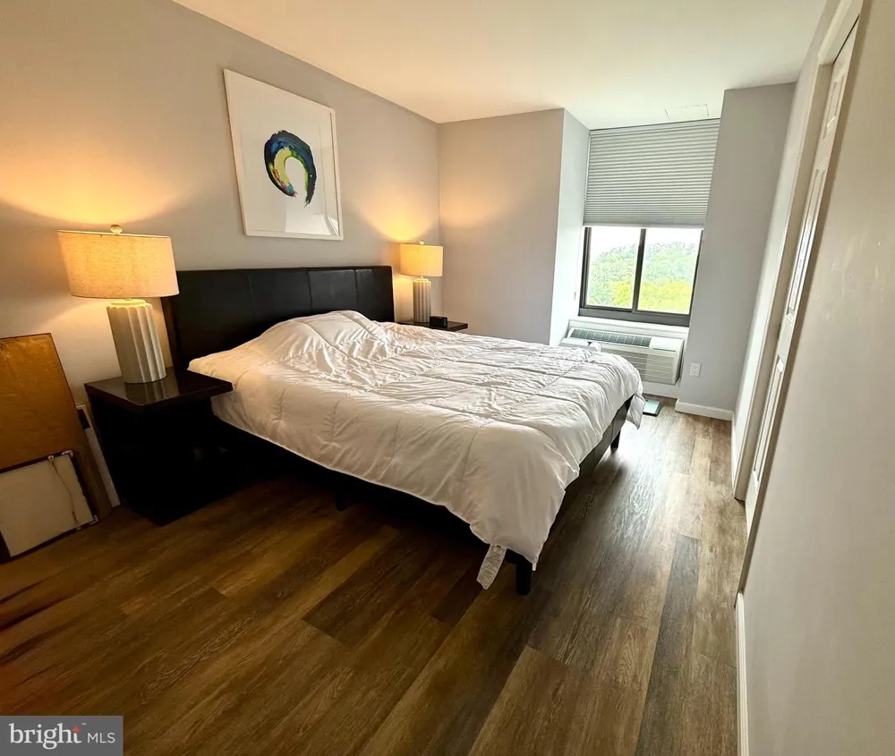 1510 12TH STREET #703 Arlington, VA 22209