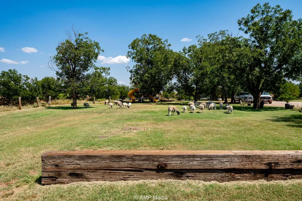 128 County Road 104 Roby, TX 79543