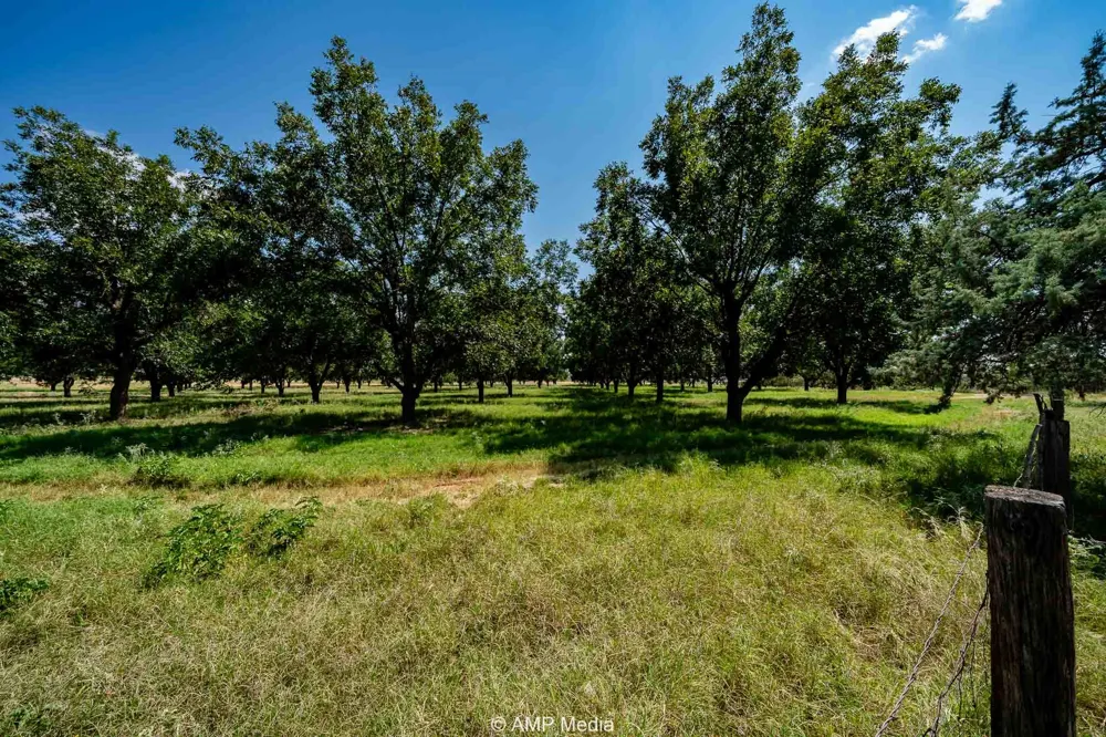 128 County Road 104 Roby, TX 79543
