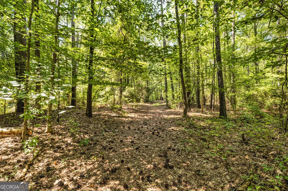 210 Mockingbird LN Brooks, GA 30205