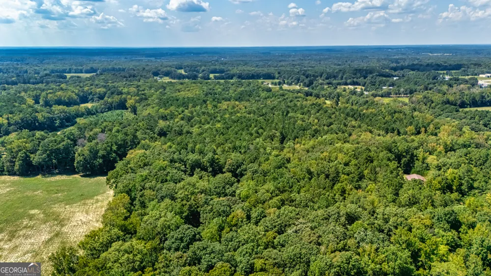 210 Mockingbird LN Brooks, GA 30205