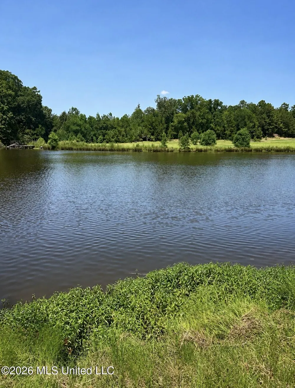 253 Windmere Drive Grenada, MS 38901