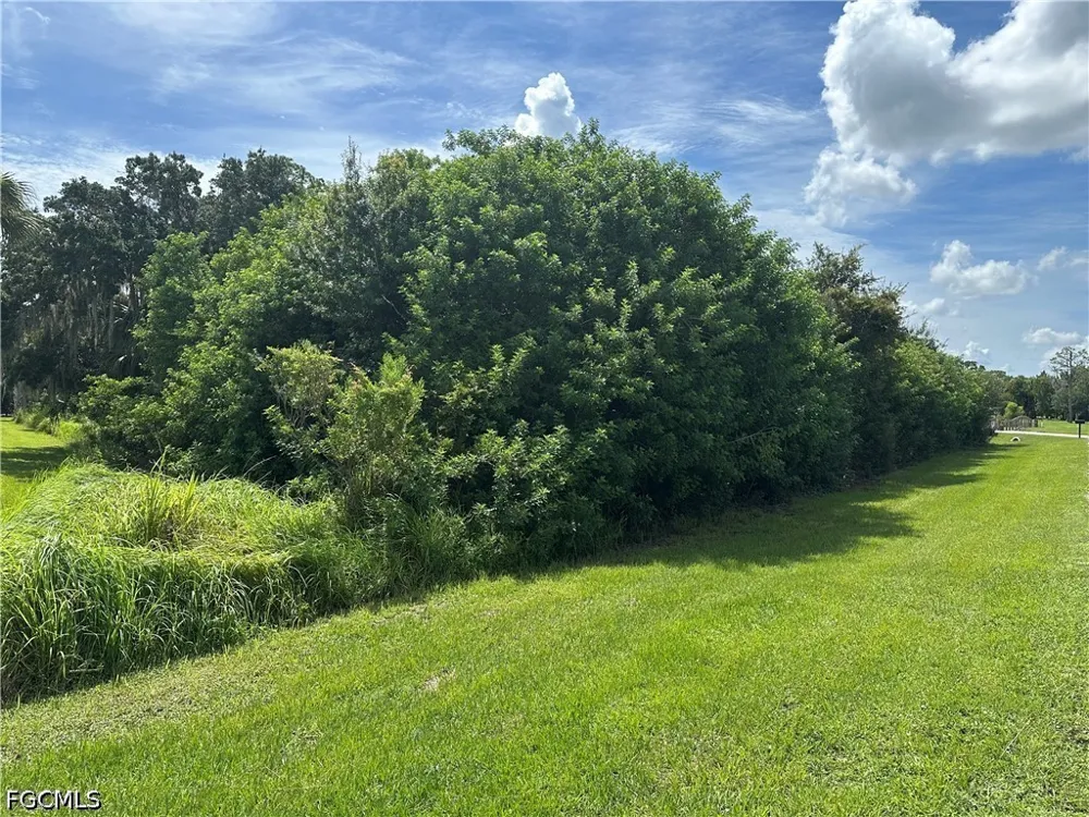 River Estates Lane Alva, FL 33920