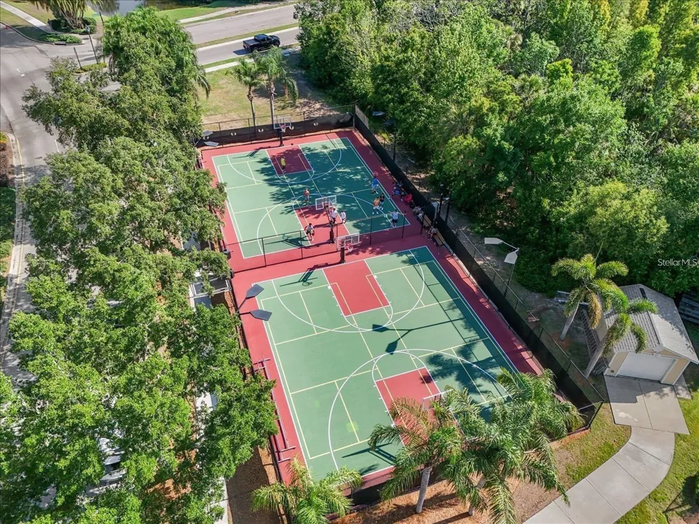 827 WINTERSIDE DRIVE Apollo Beach, FL 33572