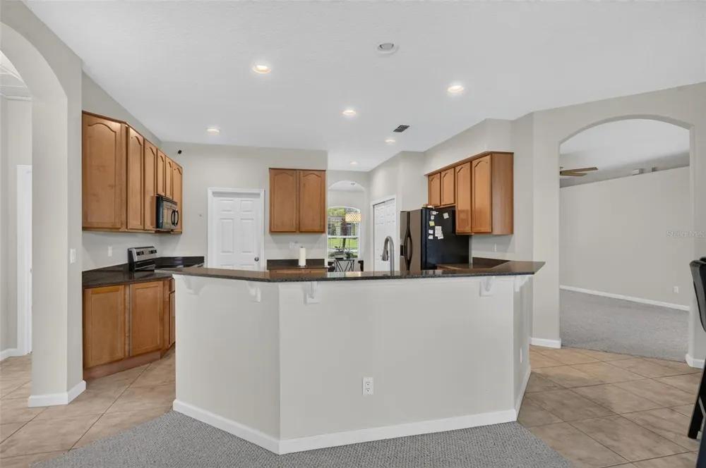 13529 VIA ROMA CIRCLE Clermont, FL 34711