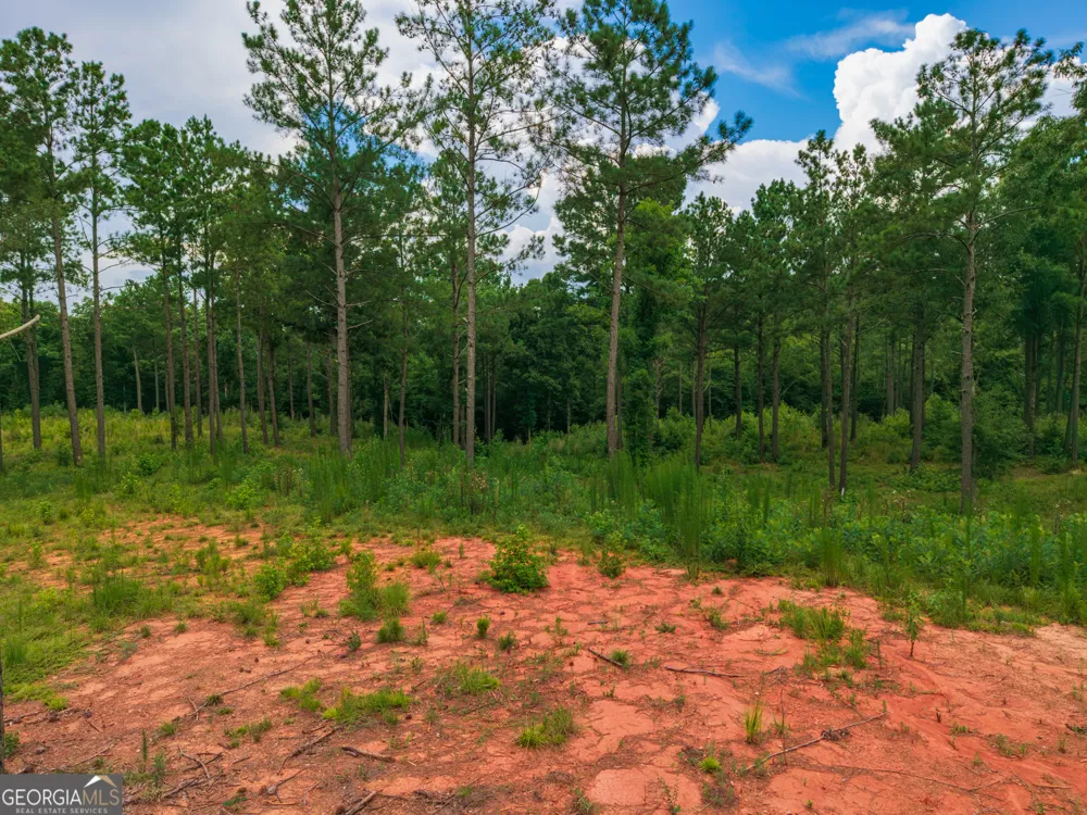 143 Falls LN Milledgeville, GA 31061