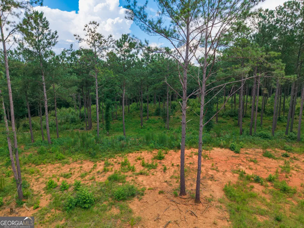 143 Falls LN Milledgeville, GA 31061