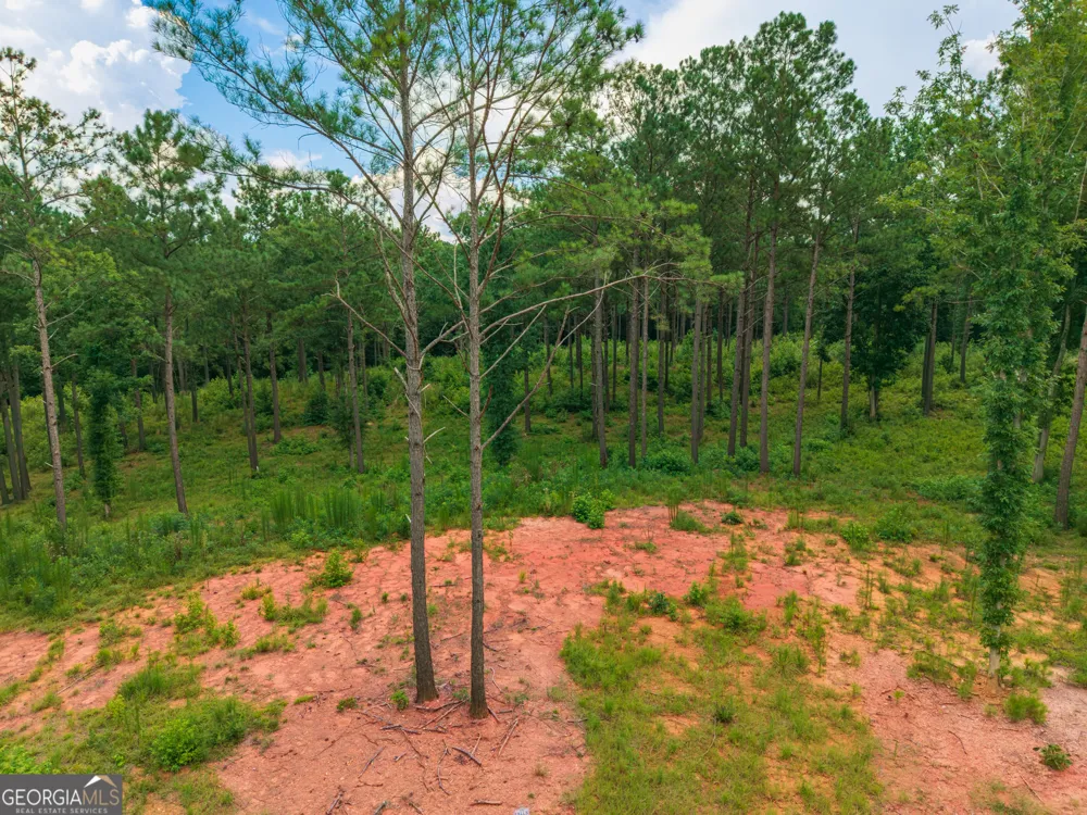 143 Falls LN Milledgeville, GA 31061