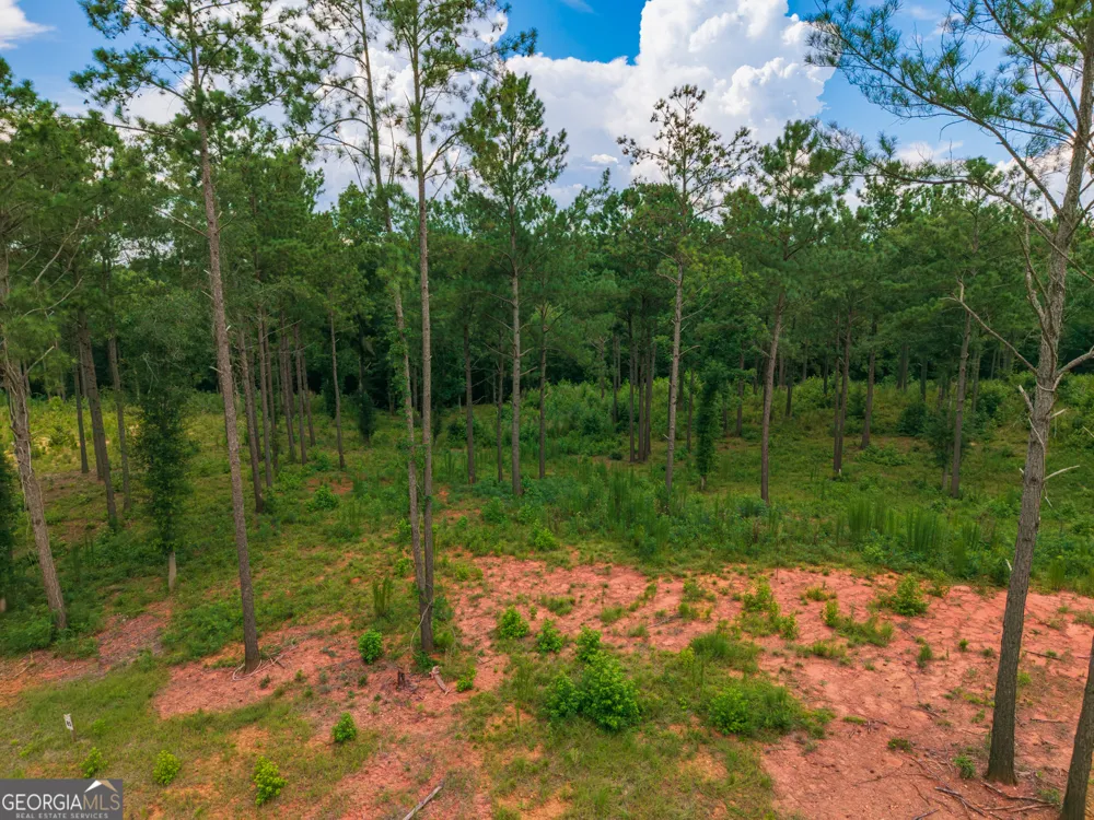 143 Falls LN Milledgeville, GA 31061