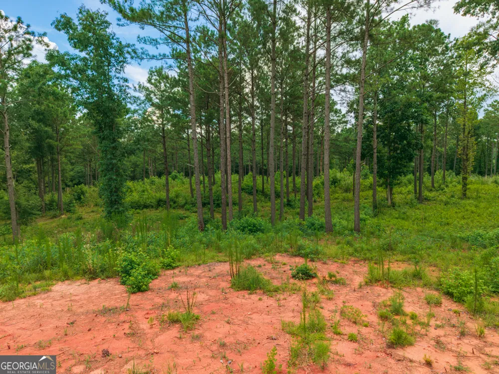 143 Falls LN Milledgeville, GA 31061