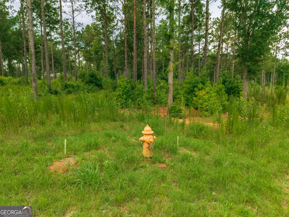 143 Falls LN Milledgeville, GA 31061