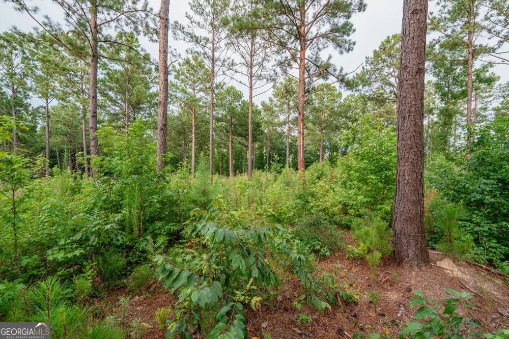 143 Falls LN Milledgeville, GA 31061