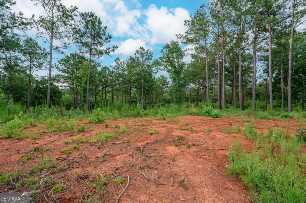 143 Falls LN Milledgeville, GA 31061