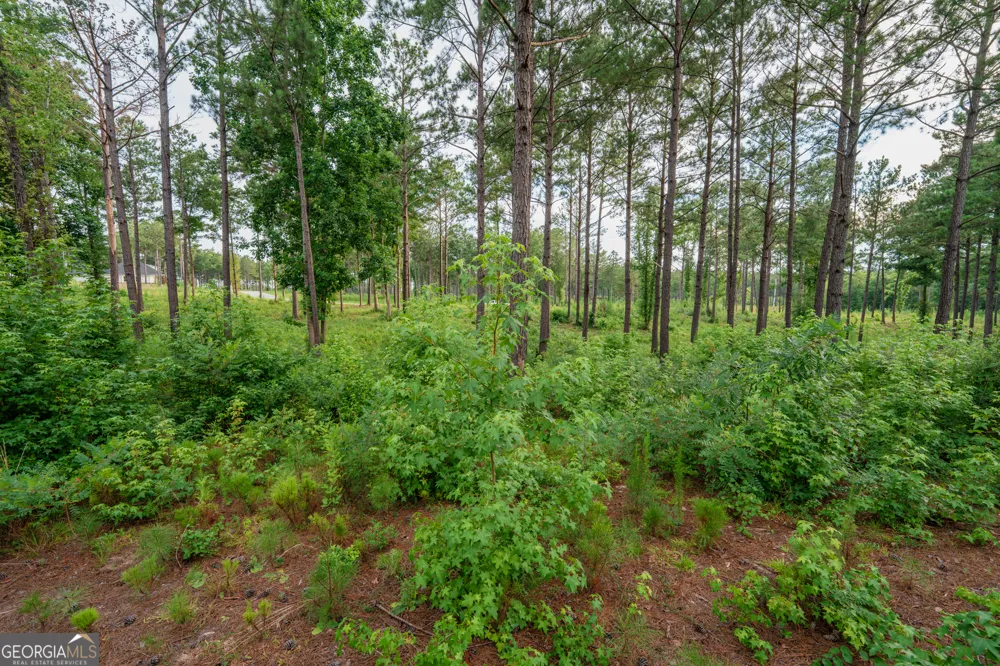 143 Falls LN Milledgeville, GA 31061