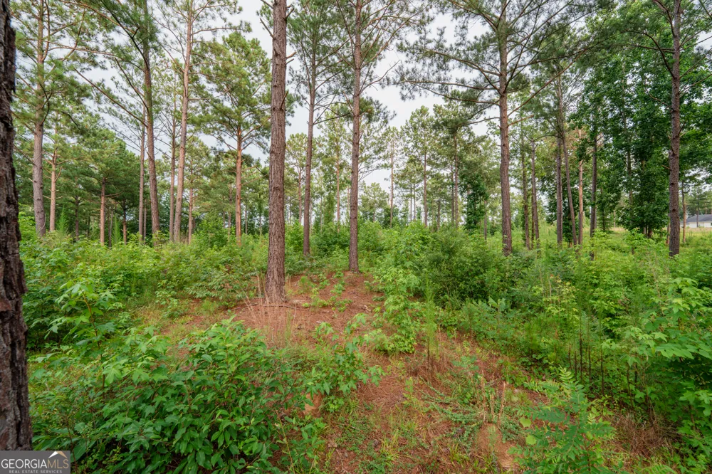 143 Falls LN Milledgeville, GA 31061