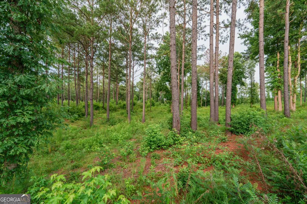 143 Falls LN Milledgeville, GA 31061