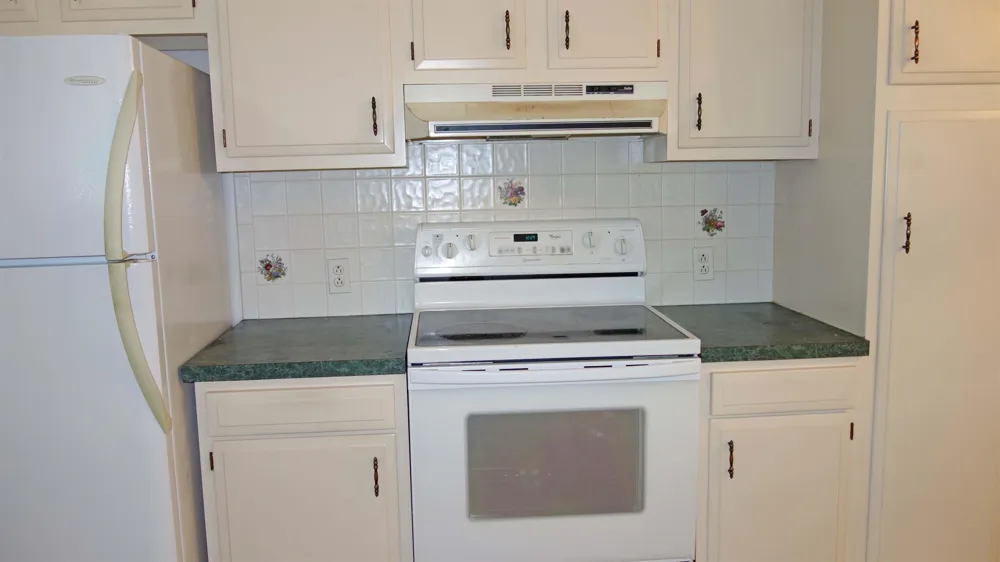 723 Sunflower Drive Chesaning Village, MI 48616