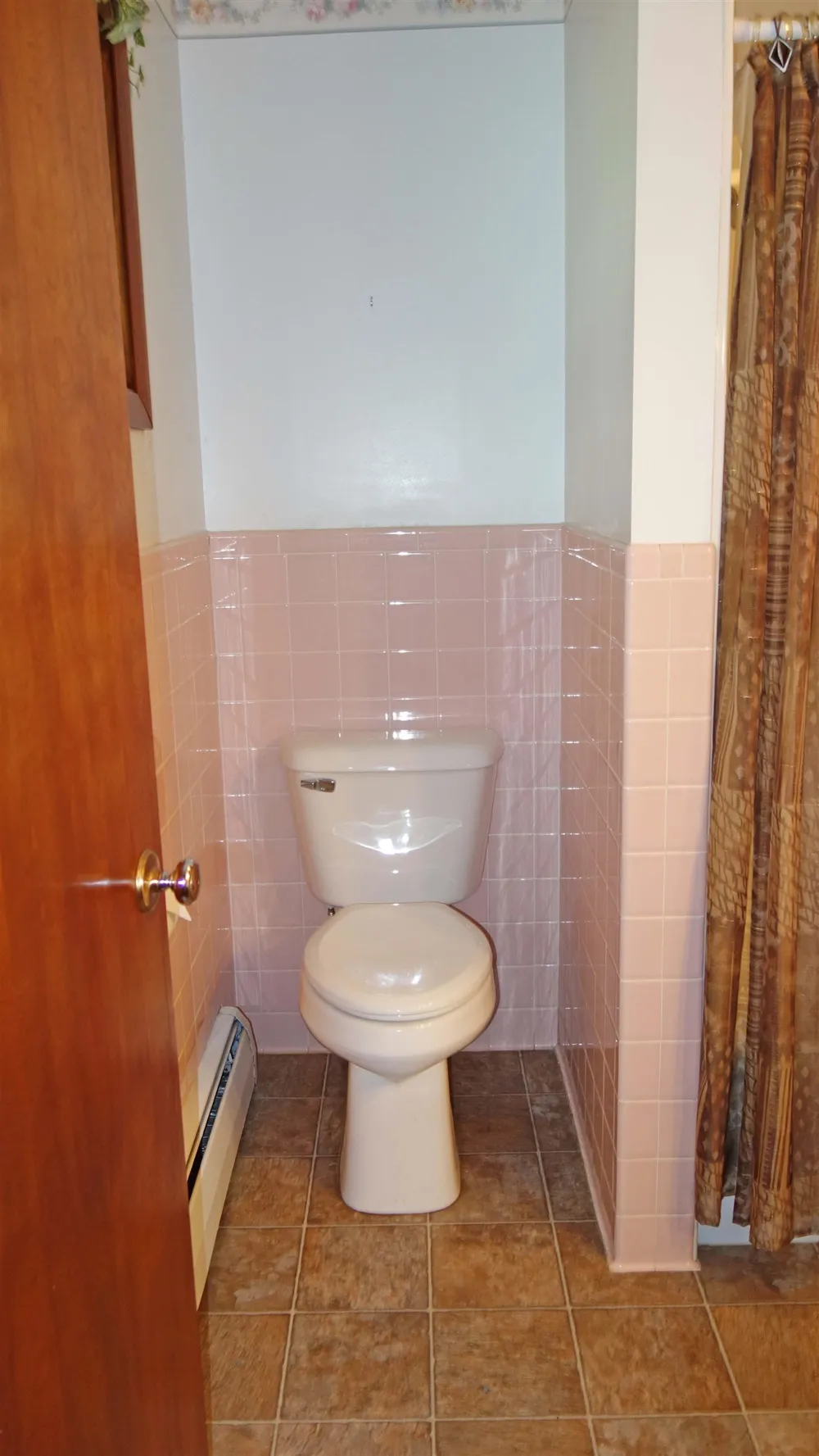 723 Sunflower Drive Chesaning Village, MI 48616