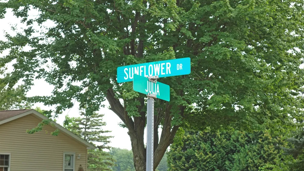 723 Sunflower Drive Chesaning Village, MI 48616