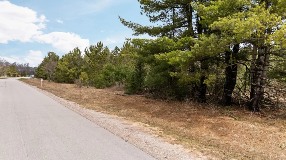 Old Cabin Drive Green Lake Township, MI 49634