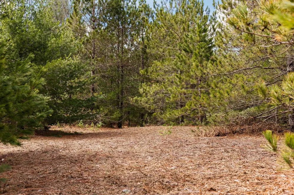 Old Cabin Drive Green Lake Township, MI 49634