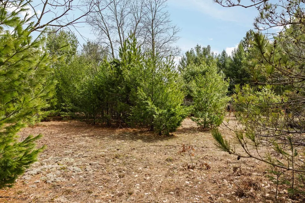 Old Cabin Drive Green Lake Township, MI 49634