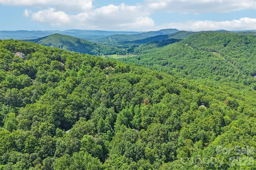 10 Cedar Drive Mills River, NC 28759
